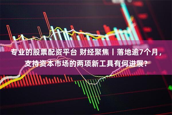 专业的股票配资平台 财经聚焦丨落地逾7个月，支持资本市场的两项新工具有何进展？