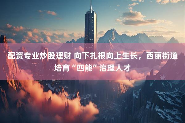 配资专业炒股理财 向下扎根向上生长，西丽街道培育“四能”治理人才